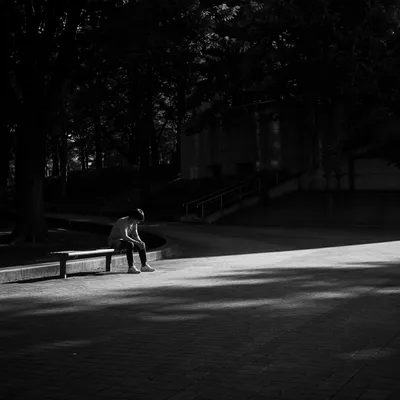 Solitary Park Bench Contemplation in Monochrome