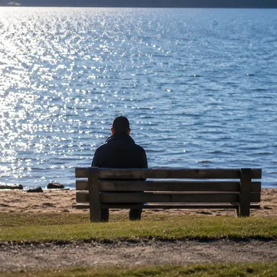 Solitary Lakeside Bench Contemplation