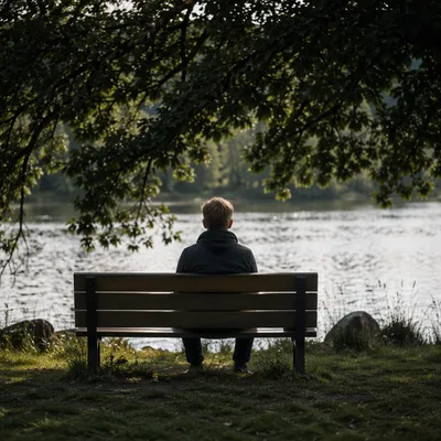 Solitary Park Bench Contemplation by Lake