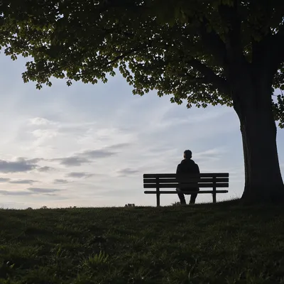 Solitary Reflection on Park Bench at Dusk