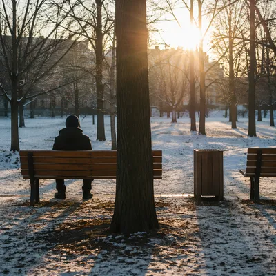 Solitary Winter Park Bench Contemplation