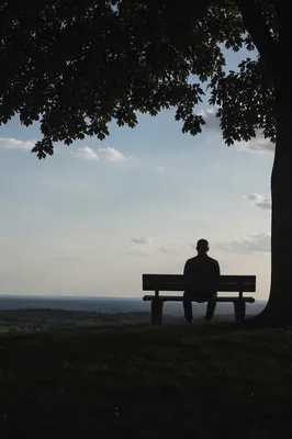 Solitary Contemplation on a Park Bench