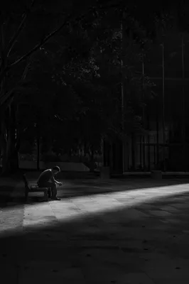 Solitary Contemplation on a Park Bench