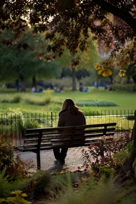 Solitary Reflection on a Park Bench