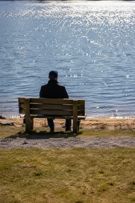 Solitary Lakeside Bench Reflection