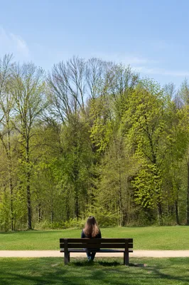Solitary Park Bench Contemplation in Spring