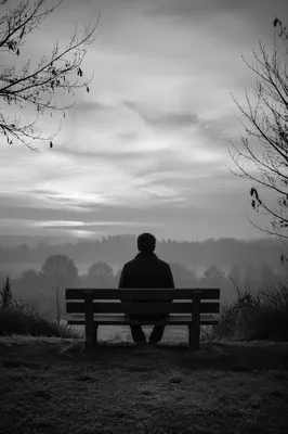 Solitary Reflection on Park Bench