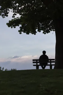 Solitary Reflection on a Park Bench