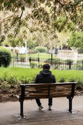 Solitary Contemplation on a Park Bench