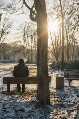 Solitary Winter Park Bench Contemplation