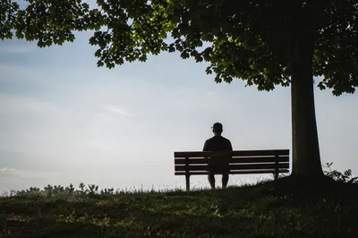 Solitary Silhouette Contemplating on Park Bench