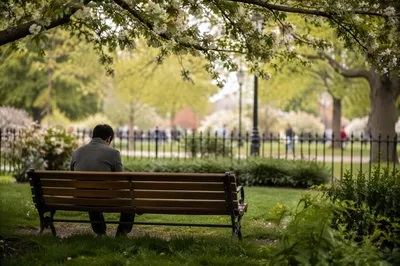 Solitary Park Bench Contemplation in Spring