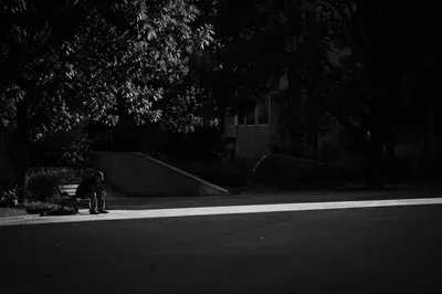 Solitary Park Bench Contemplation in Monochrome