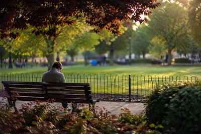 Solitary Contemplation on a Park Bench