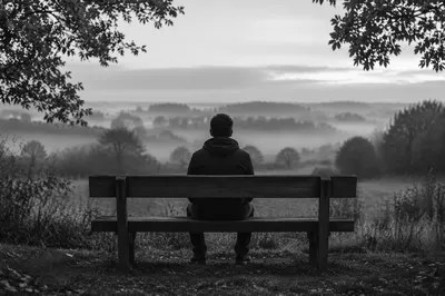 Solitary Park Bench Contemplation in Mist