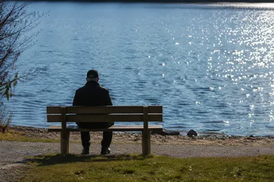 Solitary Lakeside Bench Contemplation