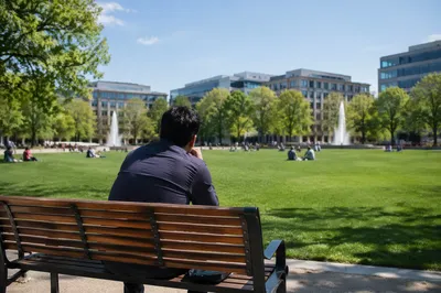 Solitary Reflection on a Sunny Park Bench
