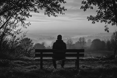 Solitary Contemplation on a Misty Park Bench