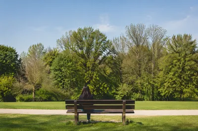 Solitary Reflection on a Park Bench