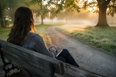 Solitary Dawn Reflection on Park Bench