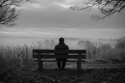 Solitary Reflection on Park Bench