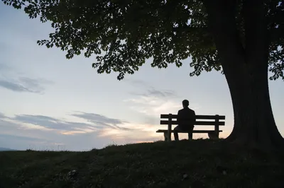 Solitary Reflection on Park Bench at Dusk