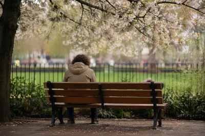 Quiet Contemplation on a Park Bench