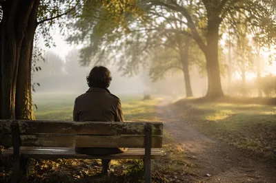 Solitary Park Bench Morning Contemplation