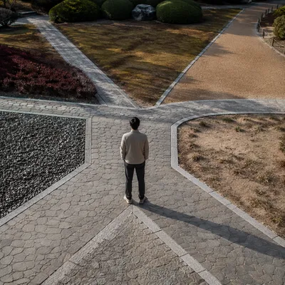 Solitary Person Facing Diverging Garden Paths