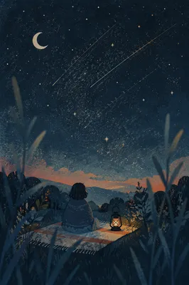 Solitary Stargazing on Blanket Under Night Sky
