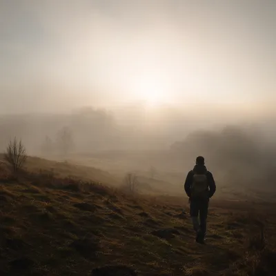 Solitary Walk Toward Light in Morning Fog
