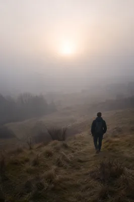 Solitary Walk Toward Light in Morning Fog