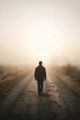Solitary Journey Through Fog Toward Light