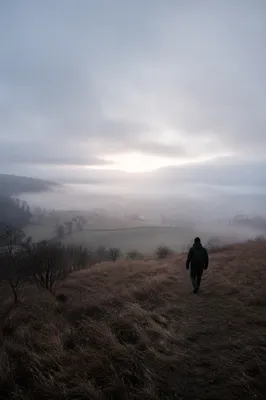 Person Walking Through Fog Toward Light
