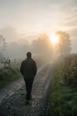 Walking Through Morning Fog Toward Light