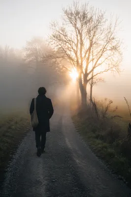 Solitary Walk Toward Morning Light