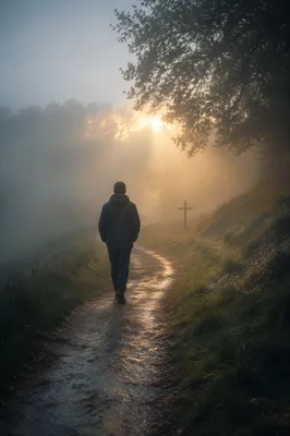 Hopeful Walk Through Fog Toward Light