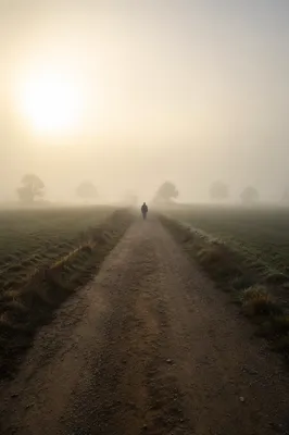 Lone Pilgrim Walking Through Morning Fog
