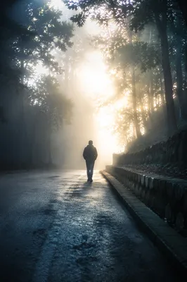 Silhouette Walking Through Fog Toward Light