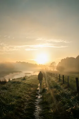 Lone Figure Walking Through Fog Toward Sunrise