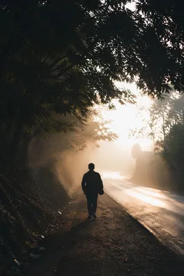 Lone Traveler Walking Toward Morning Light