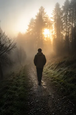 Solitary Walk Through Fog Toward Light