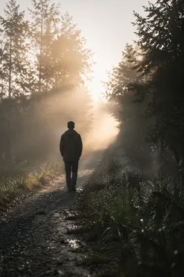 Lone Walker Toward Golden Morning Light