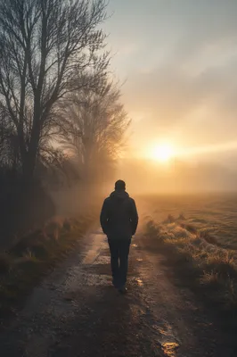 Walking Through Fog Toward Morning Light