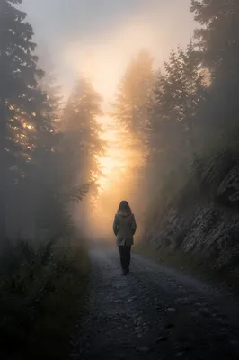Lone Walker Through Fog Toward Golden Light