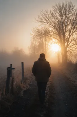 Walking Through Dawn Fog Toward Light
