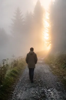 Solitary Walk Through Fog Toward Light