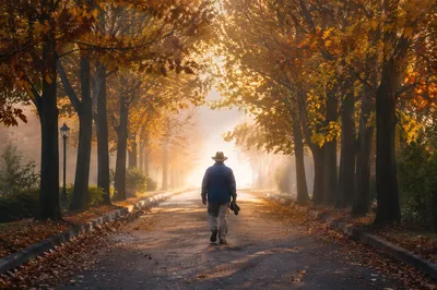 Walking Through Fog Toward Morning Light