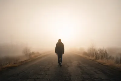 Solitary Walk Toward Morning Light