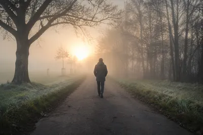 Person Walking Through Fog Toward Light